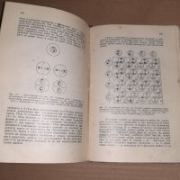 Стар учебник Обща биология проф Методи Попов 1934 г, снимка 7 - Специализирана литература - 33026529