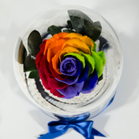 Нестандартен Подарък за Жена / Шарена-Рейнбол Вечна Роза в Голяма Стъкленица / Подарък за Годишнина, снимка 4 - Декорация за дома - 36455173