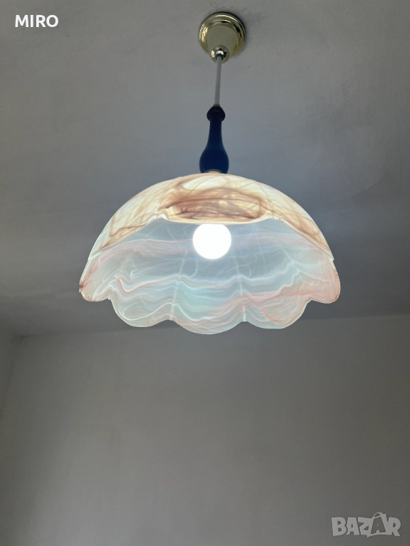 Полилей внос от Холандия, снимка 1