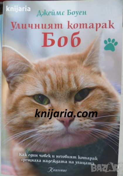 Уличният котарак Боб, снимка 1