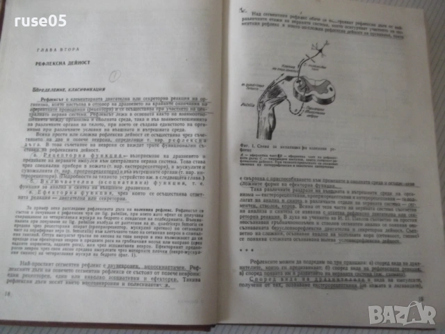 Книга "Неврология - Сашо Божинов" - 444 стр., снимка 9 - Учебници, учебни тетрадки - 53218764