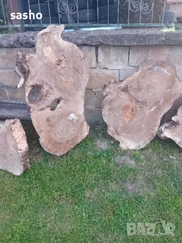 шайби от изсъхнал орех , снимка 5 - Декорация за дома - 50315436