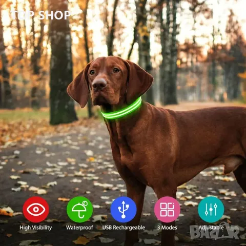 Светещи нашийници за кучета, снимка 4 - За кучета - 48763379