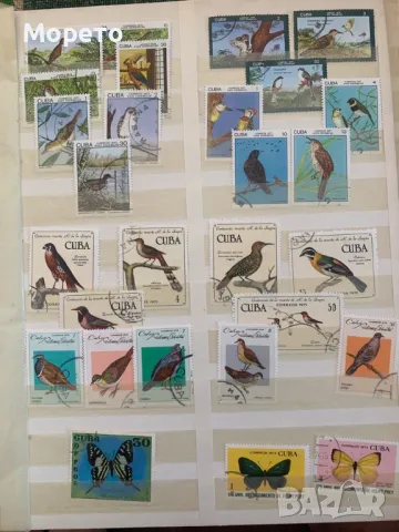 Лот стари марки,колекция от Куба-1969 до 1989г-266 броя, снимка 2 - Филателия - 48526264