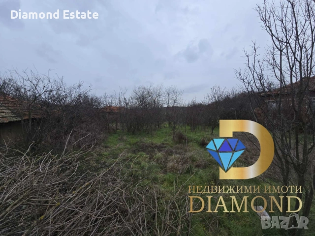 Едноетажна къща в село Троян, общ. Симеоновград, снимка 14 - Къщи - 53070923