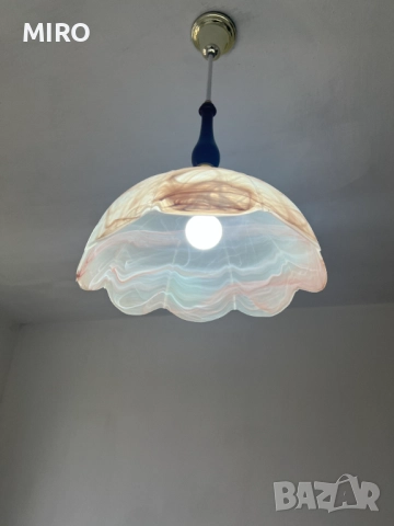 Полилей внос от Холандия