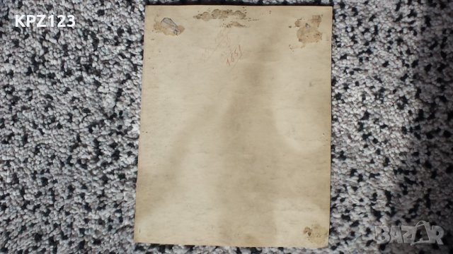 ПОРТРЕТ НА ЖЕНА ЦВЕТЕН МОЛИВ, снимка 5 - Картини - 29059534