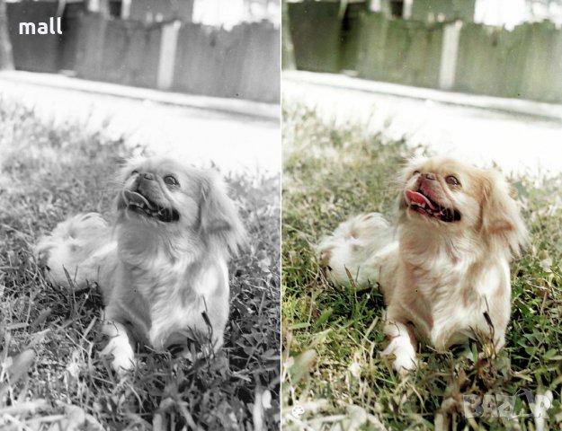 Дигитализирайте и оцветете вашите спомени!, снимка 17 - Други ценни предмети - 28448726