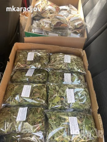 Чай, Билки, Подправки, плодове еко био, снимка 4 - Домашни продукти - 46647684