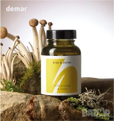 THE HERBTENDER Енергизираща добавка със женшен и гъба Рейши, 60 капсули , снимка 2 - Хранителни добавки - 43440774