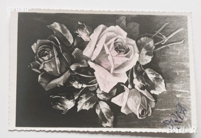 Поздравителна картичка имен ден 1957, снимка 1