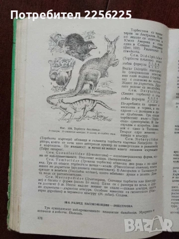 Зоология, снимка 3 - Специализирана литература - 50776539