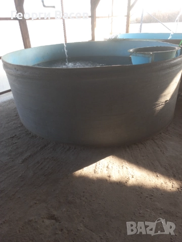 Вана за жива риба , снимка 4 - Други животни - 52639741