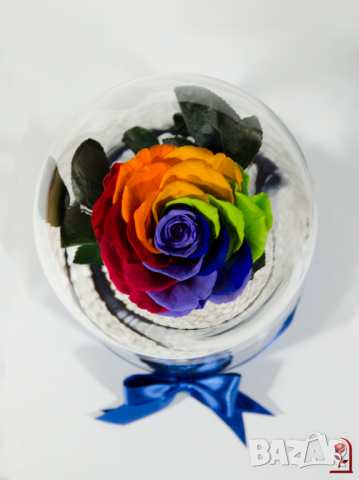 Нестандартен Подарък за Жена / Шарена-Рейнбол Вечна Роза в Голяма Стъкленица / Подарък за Годишнина, снимка 4 - Декорация за дома - 36455173