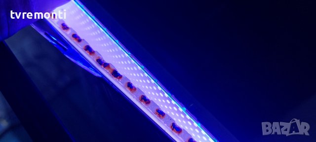 лед диоди от дисплей CY-XJ055FLLV4H от телевизор Samsung модел UE55JS8590T, снимка 7 - Части и Платки - 37754472