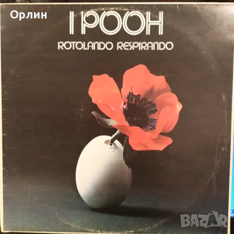 Грамофонни плочи