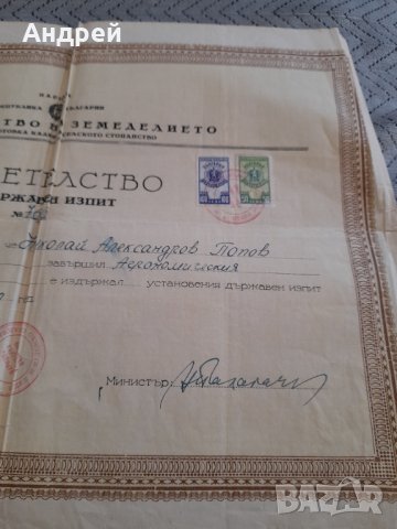 Свидетелство за Държавен изпит 1950, снимка 4 - Други ценни предмети - 44082517