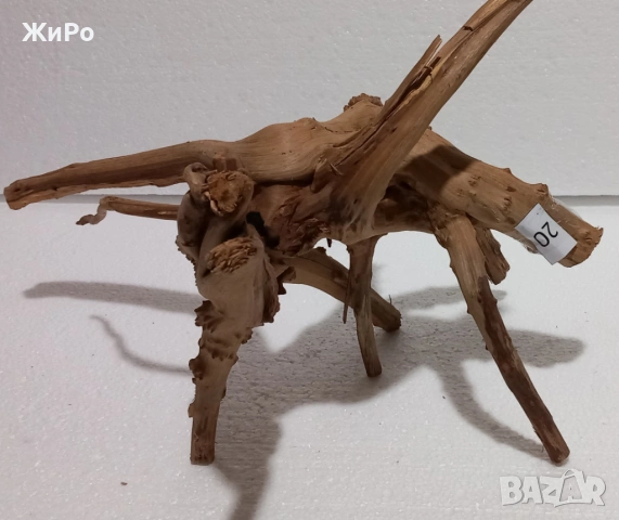 Корен от Азалия /декорация/ 20, снимка 3 - Други - 48936464