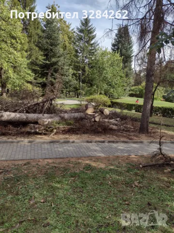 кастрим и оформяме дървете, режем опасни дървета арборист, снимка 8 - Други услуги - 47429461