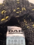 Мъжка зимна шапка DAF, снимка 5