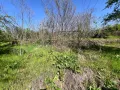 Парцел 557 кв.м. в Казанлък Вилна Зона ”Старите лозя” зад Художествената Гимназия, снимка 9