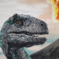 Хавлия за плаж за момче Jurassic World, снимка 2 - Хавлии и халати - 39953197