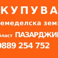 Купувам земеделска земя в област Пазарджик, снимка 1 - Земеделска земя - 43794787