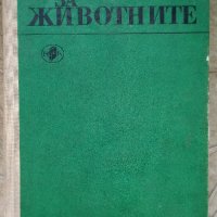 Разкази за животни  Сборник разкази от класици, снимка 1 - Художествена литература - 32669689