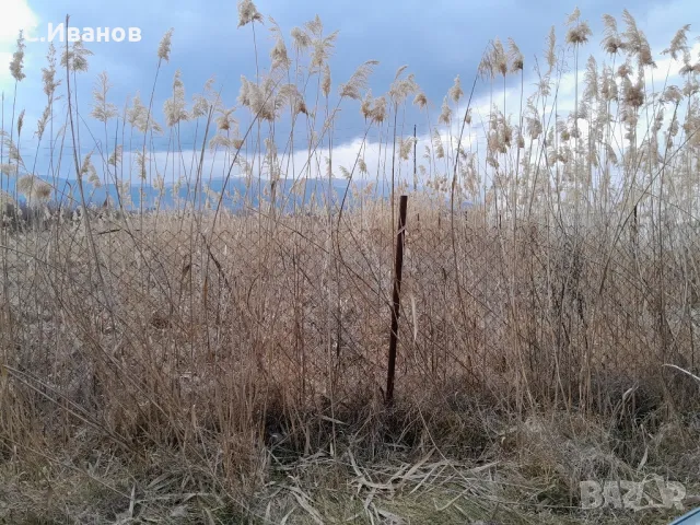 ‼️ЗЕМЕДЕЛСКА ЗЕМЯ‼️ -КЮСТЕНДИЛ‼️ 2дк, снимка 4 - Земеделска земя - 48894350