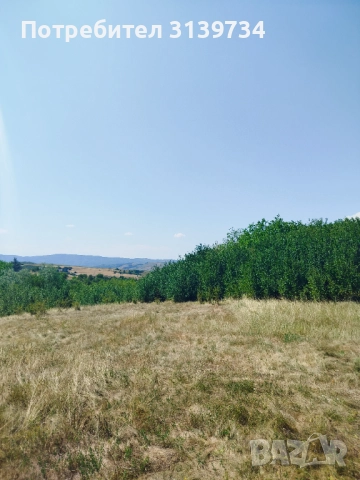 Продавам УПИ в Центъра на село Дивотино , снимка 8 - Парцели - 52989731