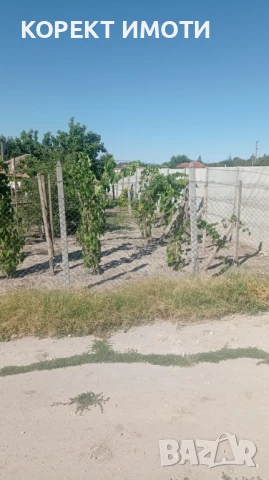 ПРОДАВА ТУХЛЕНА КЪЩА в село Новосел, снимка 2 - Къщи - 51395406