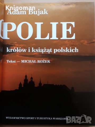 Nekropolie krolow i ksiazat polskich, Adam Bujak Некрополите на полските царе и князе, снимка 2 - Специализирана литература - 39374937