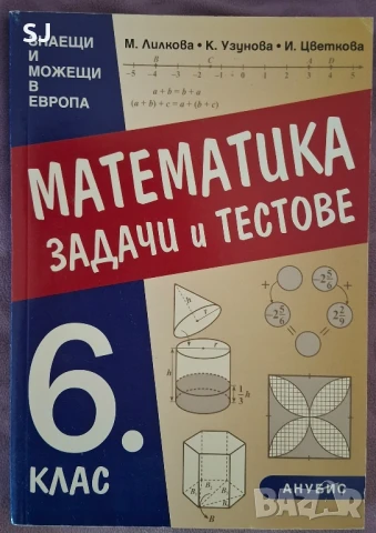 Сборник задачи и тестове по математика--6 клас, изд. Анубис, снимка 1