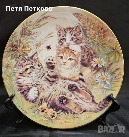 Чинии за стена 