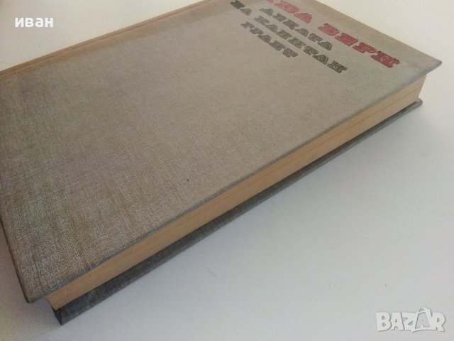 Децата на Капитан Грант - Жюл Верн - 1983г, снимка 10 - Художествена литература - 37414705
