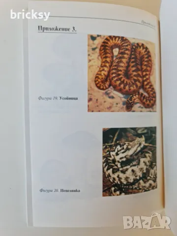 Рядко издание Остри отравяния за общопрактикуващи лекари и студенти, снимка 5 - Специализирана литература - 49004325