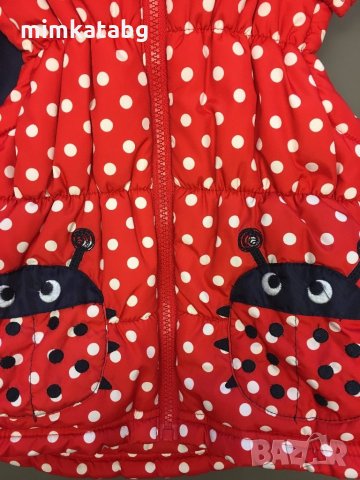 Пъстри якета Me Too, BlueZoo, Dunnes, 2-4 г., снимка 4 - Детски якета и елеци - 20825723