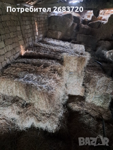 Бали  сено 5 лв бр., снимка 2 - За селскостопански - 52484648