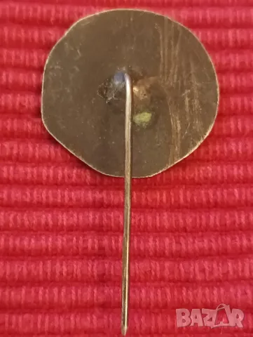 Значка 120 години Класно училище, 100 години Народно читалище. , снимка 2 - Колекции - 48037871