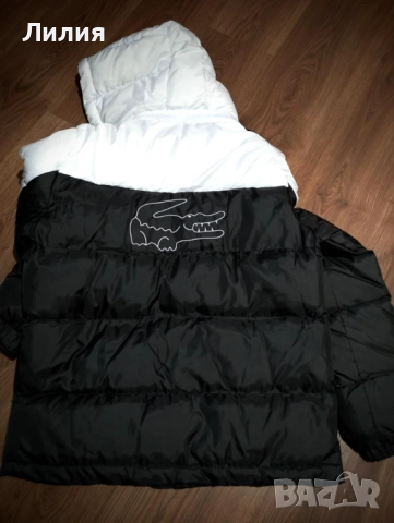 Зимно яке Лакоста, снимка 2 - Якета - 52917361