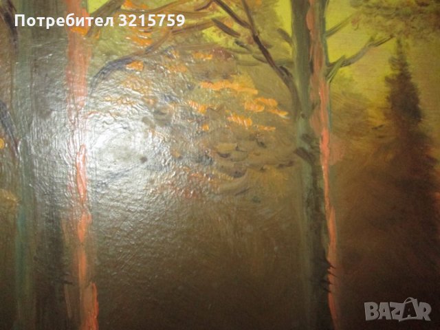 Картина -масло в/у картон, пейзаж ,60х40см., снимка 6 - Картини - 35262606