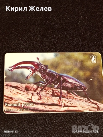 Три фонокарти МОБИКА тема ЖИВОТНИ БАЛКАНСКА ЧЕСНОВНИЦА,ЕЛЕНОВ РОГАЧ 47017, снимка 3 - Колекции - 51656788