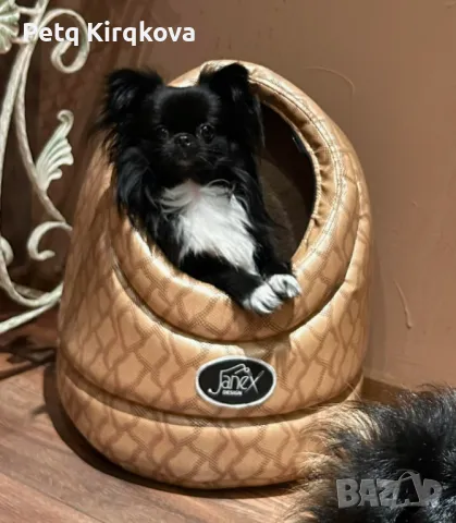 Раница за домашен любимец до 5кг., снимка 1
