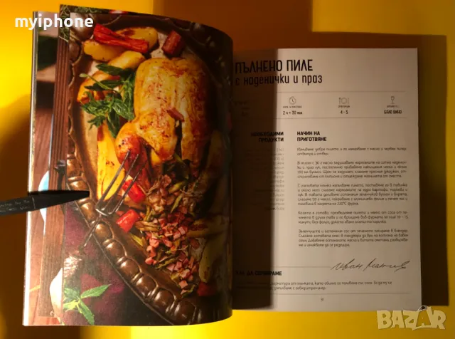 Книга Манчев Срещу Шишков, снимка 11 - Специализирана литература - 49252366