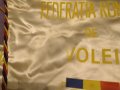 Румъния голямо 460х315мм и средно 240х175мм флагчета по волейбол, снимка 7