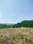 Продавам УПИ в Центъра на село Дивотино , снимка 8