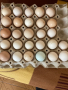 Домашни яйца, снимка 1 - Домашни продукти - 44932760
