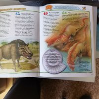 100 интересни неща за праисторически живот. , снимка 1 - Детски книжки - 40056638