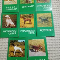 Книги за кучета , снимка 1 - Други - 32365206