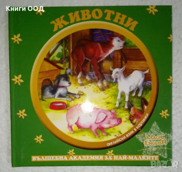 Английски език в картинки: Животни и Играчки, снимка 1